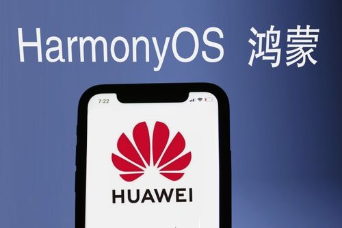 鴻蒙成國之重器，七龍業(yè)績稱王 六月重倉基礎(chǔ)軟件正當(dāng)時(shí)